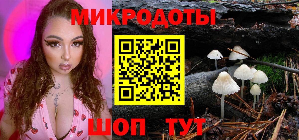 Псилоцибиновые грибы MAGIC MUSHROOMS  Вход с VPN  где купить   Владимир 