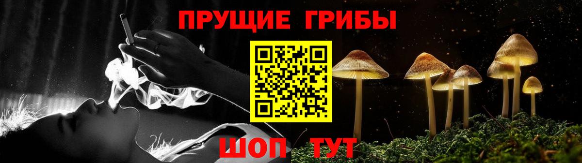 Галлюциногенные грибы GOLDEN TEACHER Владимир